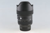 SIGMA Art 14-24mm F/2.8 DG DN Lens for Sony E #59132E6