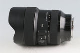 SIGMA Art 14-24mm F/2.8 DG DN Lens for Sony E #59132E6