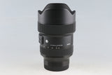Sigma Art 14-24mm F/2.8 DG DN Lens for Sony E #59133L6