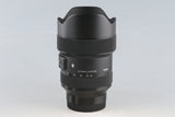 Sigma Art 14-24mm F/2.8 DG DN Lens for Sony E #59138L6