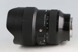 Sigma Art 14-24mm F/2.8 DG DN Lens for Sony E #59138L6