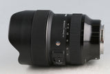 Sigma Art 14-24mm F/2.8 DG DN Lens for Sony E #59139L6