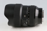 Sigma Art 14-24mm F/2.8 DG DN Lens for Sony E #59133L6