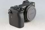 Sony α6600 Mirrorless Digital Camera *Japanese Version Only * With Box #60334L2