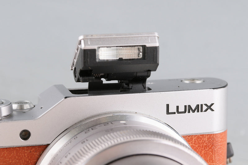 Panasonic Lumix DC-GF10 + G Vario 12-32mm F/3.5-5.6 ASPH. Lens #60340E2