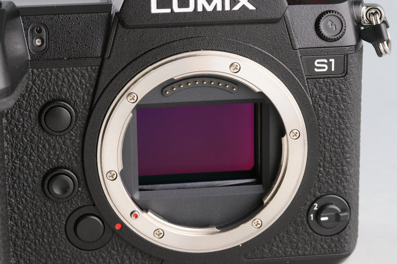 Panasonic Lumix DC-S1 Digtal SLR Camera With Box *Japanese version only* #60358L7