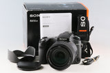 Sony RX10IV Digital Camera With Box *Japanese Version Only* #60888L2