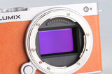 Panasonic Lumix DC-S9 Mirrorless Digital Camera #65772E4
