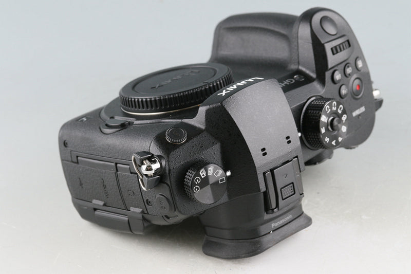 Panasonic Lumix DC-GH5 Mirrorless Digital Camera #51307F3